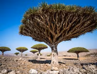 [ẢNH] Những điều thú vị ít người biết về hòn đảo 