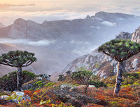 [ẢNH] Những điều thú vị ít người biết về hòn đảo 