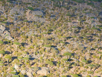 [ẢNH] Những điều thú vị ít người biết về hòn đảo 