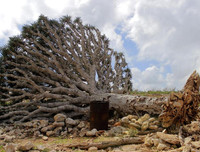 [ẢNH] Những điều thú vị ít người biết về hòn đảo 