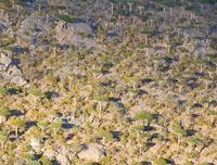 [ẢNH] Những điều thú vị ít người biết về hòn đảo 