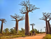 [ẢNH] Những điều thú vị ít người biết về hòn đảo 