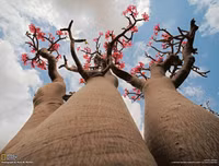 [ẢNH] Những điều thú vị ít người biết về hòn đảo 