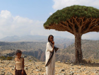 [ẢNH] Những điều thú vị ít người biết về hòn đảo 