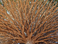 [ẢNH] Những điều thú vị ít người biết về hòn đảo 