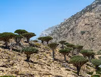 [ẢNH] Những điều thú vị ít người biết về hòn đảo 