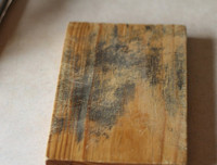 [ẢNH] Những vật dụng quen thuộc trong gia đình tiềm ẩn nguy cơ gây ung thư