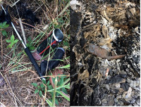 Vụ cướp trạm thu phí Dầu Giây: Những tình tiết đáng chú ý