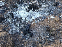 Vụ cướp trạm thu phí Dầu Giây: Những tình tiết đáng chú ý