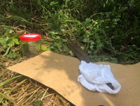 Vụ cướp trạm thu phí Dầu Giây: Những tình tiết đáng chú ý