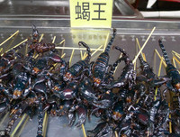 [ẢNH] Những điều kỳ lạ chỉ có thể xảy ra ở Trung Quốc