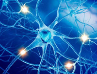 Những tác dụng tuyệt vời không ngờ tới từ hạt chia