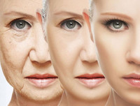 Những tác dụng tuyệt vời không ngờ tới từ hạt chia