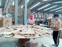 [ẢNH] Những quyền lợi của người lao động khi bị cách ly vì dịch Covid-19