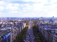 [ẢNH] Nhiều quốc gia đề xuất cấm ô tô chạy bằng xăng dầu