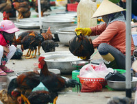 [ẢNH] Những điều kiêng kỵ theo dân gian trong ngày Rằm tháng Giêng Canh Tý 2020