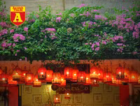 [ẢNH] Nao lòng trước vẻ đẹp bình yên của Hội An trong dịp nghỉ lễ