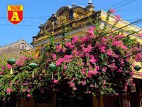 [ẢNH] Nao lòng trước vẻ đẹp bình yên của Hội An trong dịp nghỉ lễ