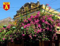 [ẢNH] Nao lòng trước vẻ đẹp bình yên của Hội An trong dịp nghỉ lễ