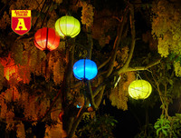 [ẢNH] Nao lòng trước vẻ đẹp bình yên của Hội An trong dịp nghỉ lễ