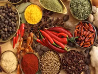 [ẢNH] Sốt xuất huyết vào mùa: Những điều kiêng kỵ khi chữa trị