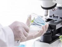 [ẢNH] Lưu ý: Những quy định quan trọng có hiệu lực từ tháng 8-2019