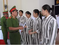 [ẢNH] Lưu ý: Những quy định quan trọng có hiệu lực từ tháng 8-2019