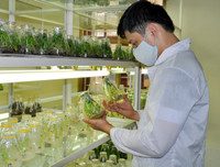 [ẢNH] Lưu ý: Những quy định quan trọng có hiệu lực từ tháng 8-2019