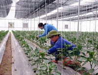 [ẢNH] Lưu ý: Những quy định quan trọng có hiệu lực từ tháng 8-2019