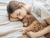 [ẢNH] Những thói quen gây hại sức khỏe tuyệt đối không nên làm sau bữa ăn