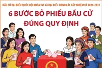 Bầu cử Quốc hội và HĐND: 6 bước bỏ phiếu bầu cử đúng quy định