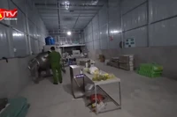 "Vỏ bọc" doanh nghiệp, livestream bán hàng để tiêu thụ phân bón giả