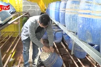 Đột kích xưởng sản xuất gần 3 tấn giá đỗ ‘siêu mập’ bằng hóa chất cấm