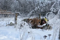 Cận cảnh cuộc chiến đấu trong giá rét khắc nghiệt của các binh sĩ Ukraine tại tiền tuyến