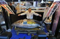 Cá ngừ vây xanh được bán với giá kỷ lục hơn 3 triệu USD