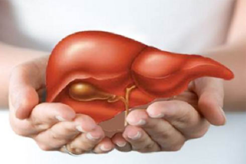 Bí quyết nuôi dưỡng lá gan khỏe mạnh ảnh 1