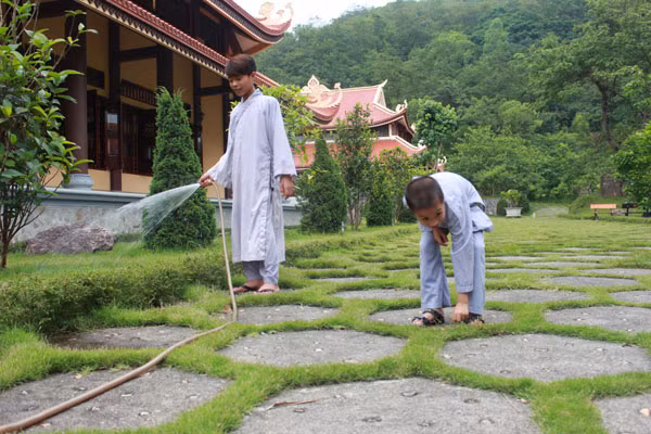 Dưỡng tính thiện trong mùa hè tu tập ảnh 4