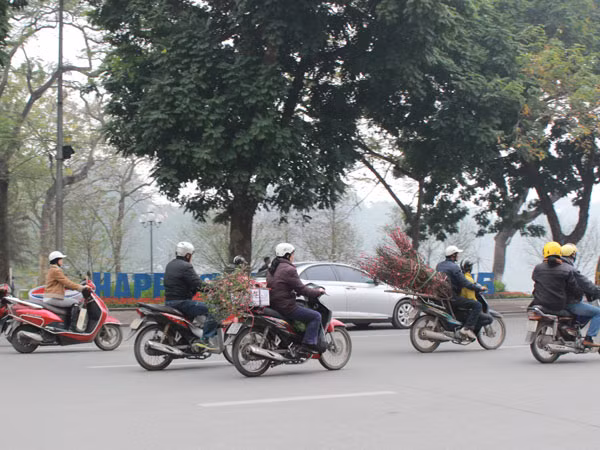 Phố phường Hà Nội "thay áo mới" đón Tết ảnh 11