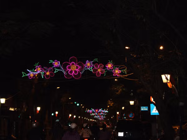 Phố phường Hà Nội "thay áo mới" đón Tết ảnh 5