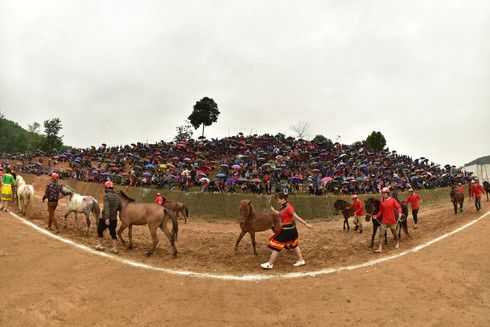Trong chợ Thụt có trường đua ngựa rất độc đáo. Bởi xã Phù Lưu là trọng điểm cam sành của tỉnh Tuyên Quang. Muốn thồ được những tạ cam trên núi cao, đồng bào ở đây phải dùng đến sức ngựa. Nên con ngựa có vai trò to lớn trong đời sống người trồng cam Trong chợ Thụt có trường đua ngựa rất độc đáo. Bởi xã Phù Lưu là trọng điểm cam sành của tỉnh Tuyên Quang. Muốn thồ được những tạ cam trên núi cao, đồng bào ở đây phải dùng đến sức ngựa. Nên con ngựa có vai trò to lớn trong đời sống người trồng cam