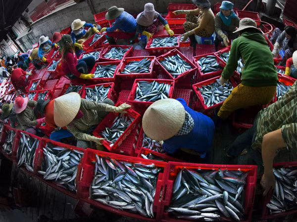 Chạm đến tình yêu Tổ quốc trong trái tim mỗi người ảnh 2