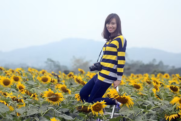 Đắm chìm trong vẻ đẹp của cánh đồng hoa mặt trời Nghệ An ảnh 7