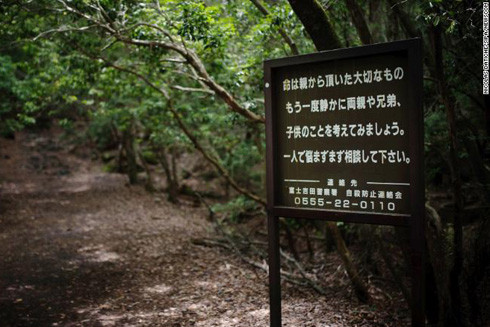 Bên trong "khu rừng tự tử" ở Nhật Bản ảnh 1