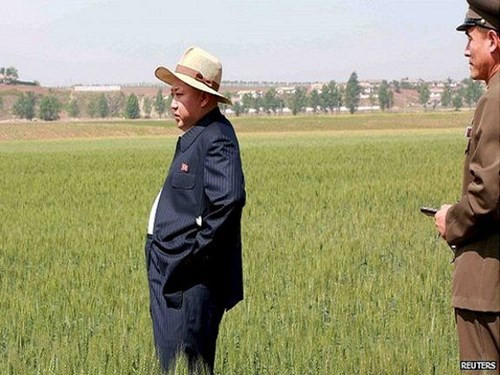 Triều Tiên kêu gọi Liên Hợp Quốc viện trợ vì hạn hán kéo dài ảnh 1