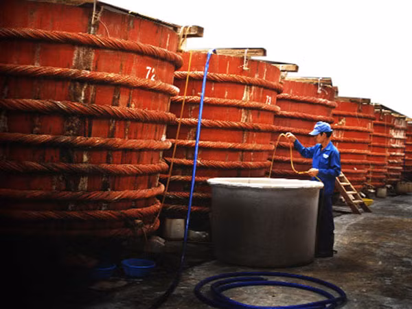 Nhiều người tiêu chảy vì nước mắm rởm của ông trùm xứ Nghệ ảnh 1