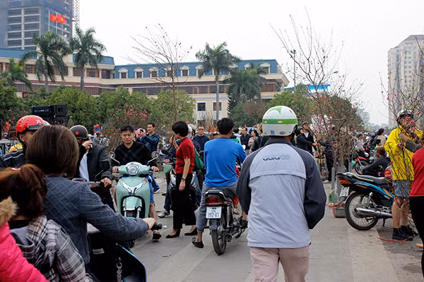 Chiều 30 Tết, Hà Nội vẫn nườm nượp người sắm đào quất ảnh 2 Chiều 30 Tết, Hà Nội vẫn nườm nượp người sắm đào quất ảnh 2