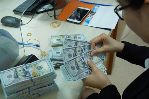 Tỷ giá trung tâm liên tục xác lập "đỉnh" mới: Doanh nghiệp nửa vui - nửa buồn ảnh 1