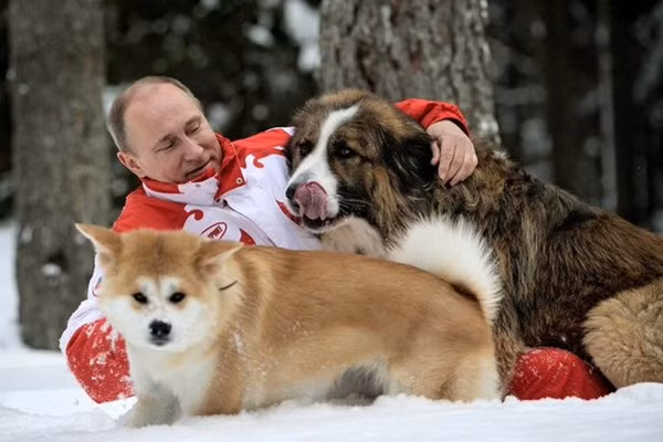 Ước mơ của bé gái Siberia thành hiện thực khi gửi thư cho Tổng thống Putin ảnh 3