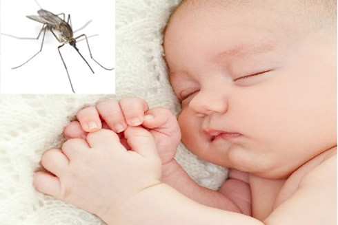 Điều trị và ngăn ngừa trẻ bị muỗi đốt ảnh 1