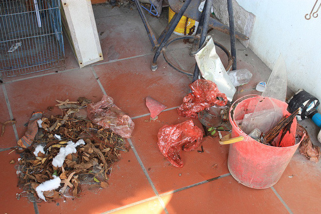  Nhiều đồ đạc trong nhà bị con khỉ hoang đập vỡ, bới tung. 